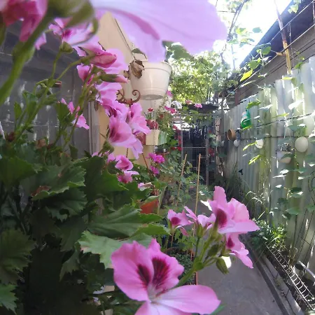 Casa Milly * كونستانتا